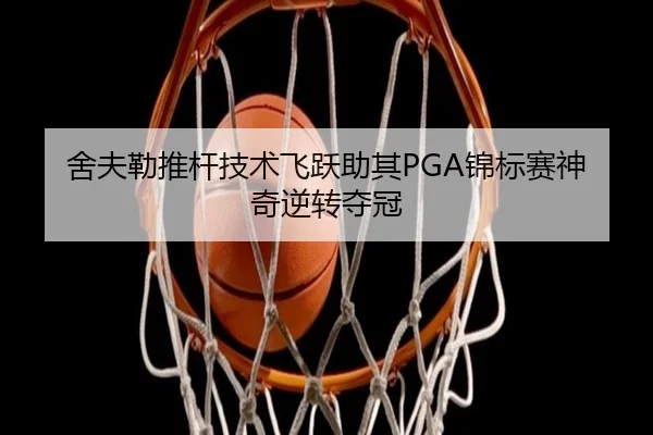 she-fu-lei-tui-gan-ji-shu-fei-yue-zhu-qi-jin-biao-sai-shen-qi-ni-zhuan-duo-guan-2-310.jpg